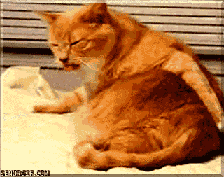 Bilder-Thread 9f37c2 1346064413 gifs 04