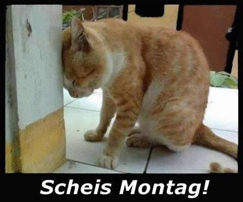 scheiss-montag