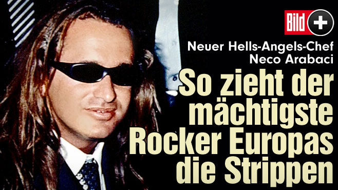 3w658c0.bild