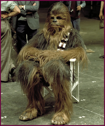 chewbacca