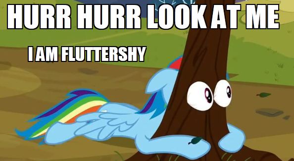 b83f43 rainbowdashfluttershy