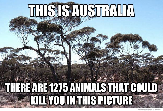 Bilder-Thread this-is-australia.jpeg