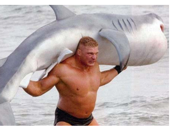 Manly-Man-Shark