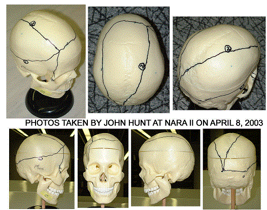 fig8b