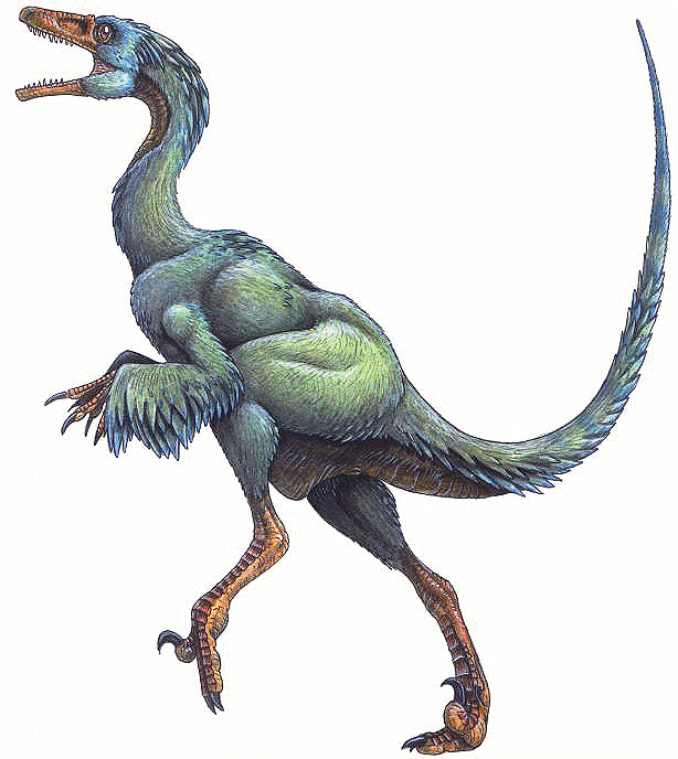 troodon formosus
