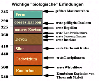 palaeo5