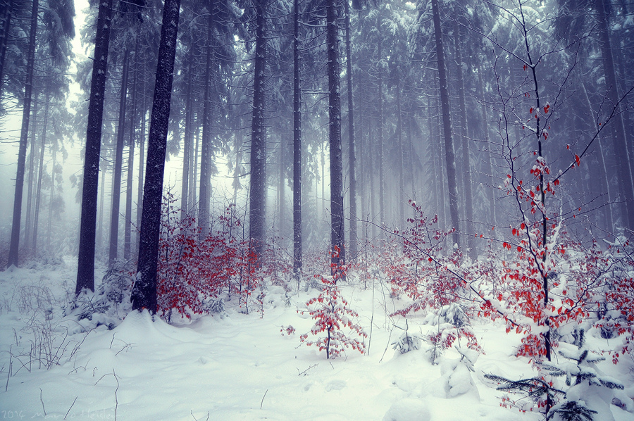 Bilder-Thread stiller-winter-cb52c6cb-018e-4f6b-96e2-3