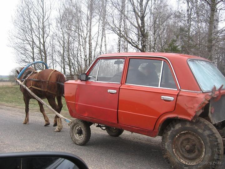 Horse Car Cart