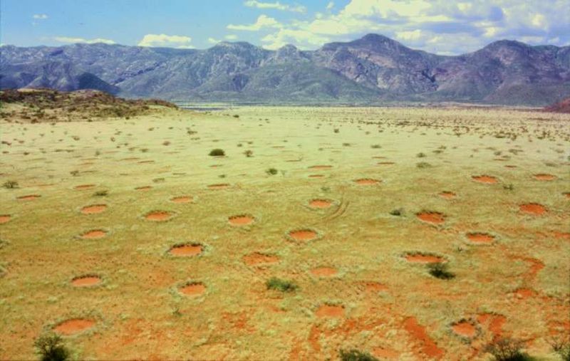 800px-Feenkreise Namibia