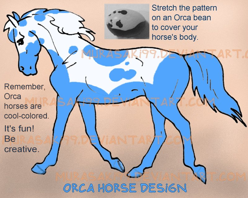 Bilder-Thread Designing an Orca Horse by Murasaki99