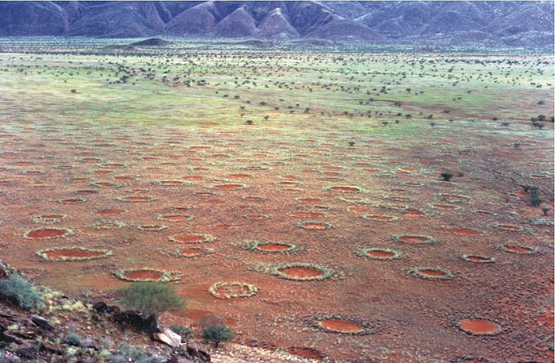 800px-Fairy circles namibia