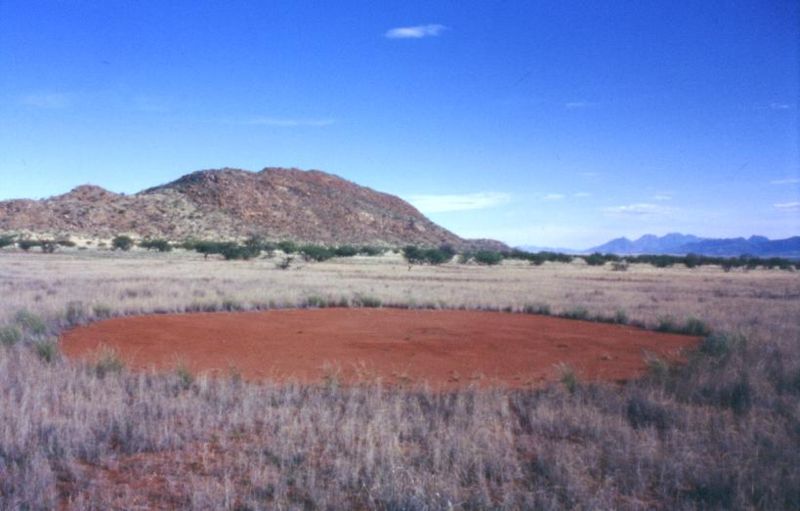 800px-Feenkreis Marienflusstal Namibia