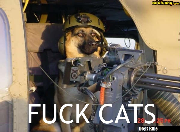 Bilder-Thread commando dog fuck cats399