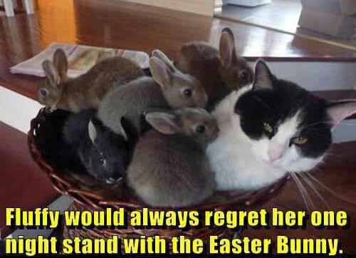 cats-one-night-stand-with-easter-bunny