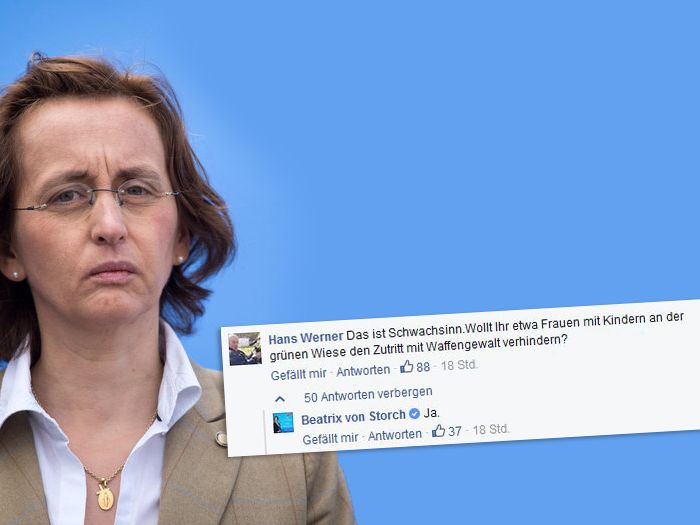 afd politikerin beatrix storch grenze ki