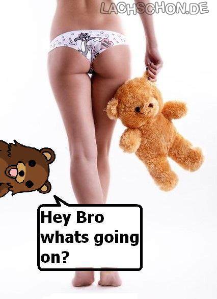 Bilder-Thread 73561-pedobaer