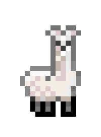 llama albino