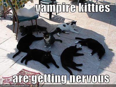 vampire cats shade sunlight.jpg 22 222