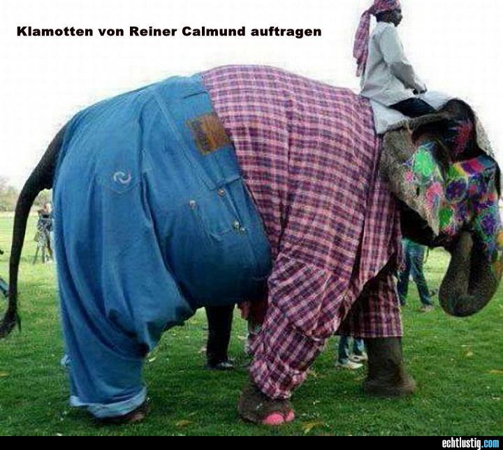 elefant-mit-den-klamotten-von-reiner-cal