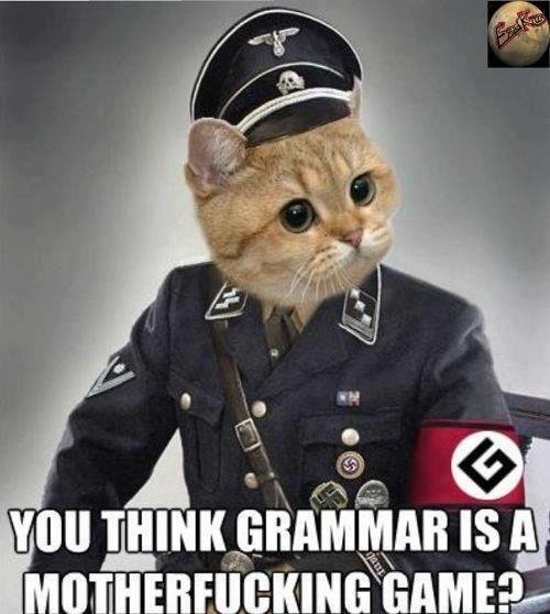 grammar nazi 4