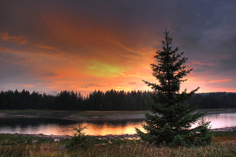 Bilder-Thread sonnenuntergang-am-oderteich-3395c328-2c
