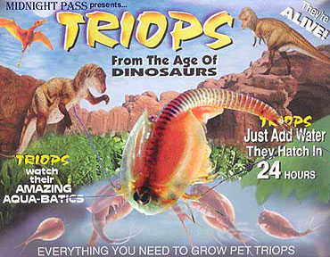 MPIkids triops img