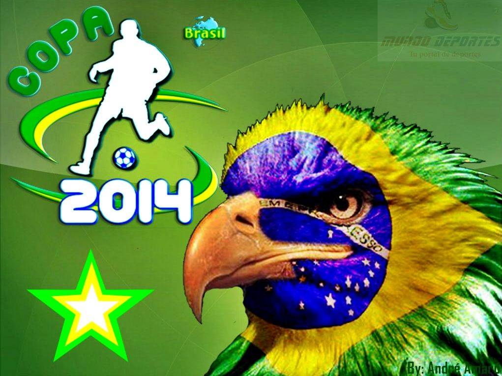 Bilder-Thread brasil2014mundial