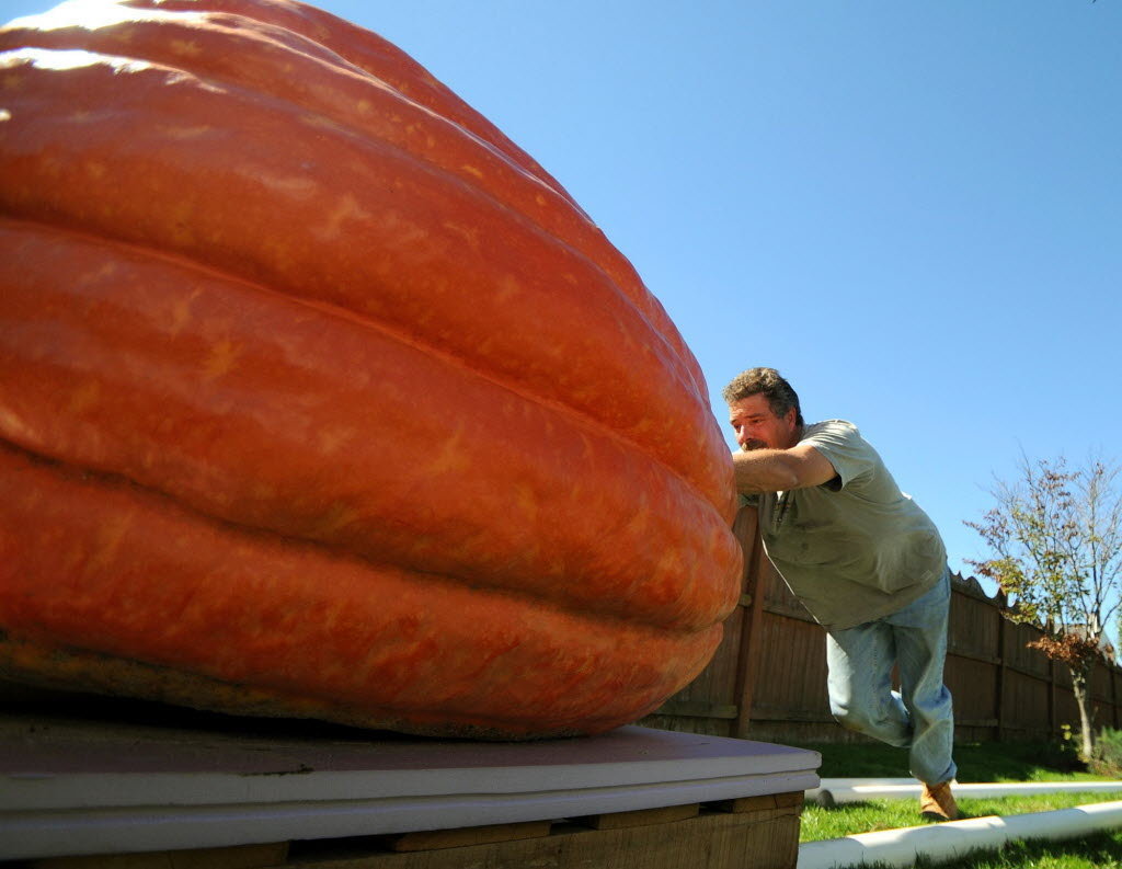 giant-pumpkin-0c1183fce587e42b