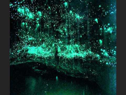Waitomo-Glowworm-Cave FY