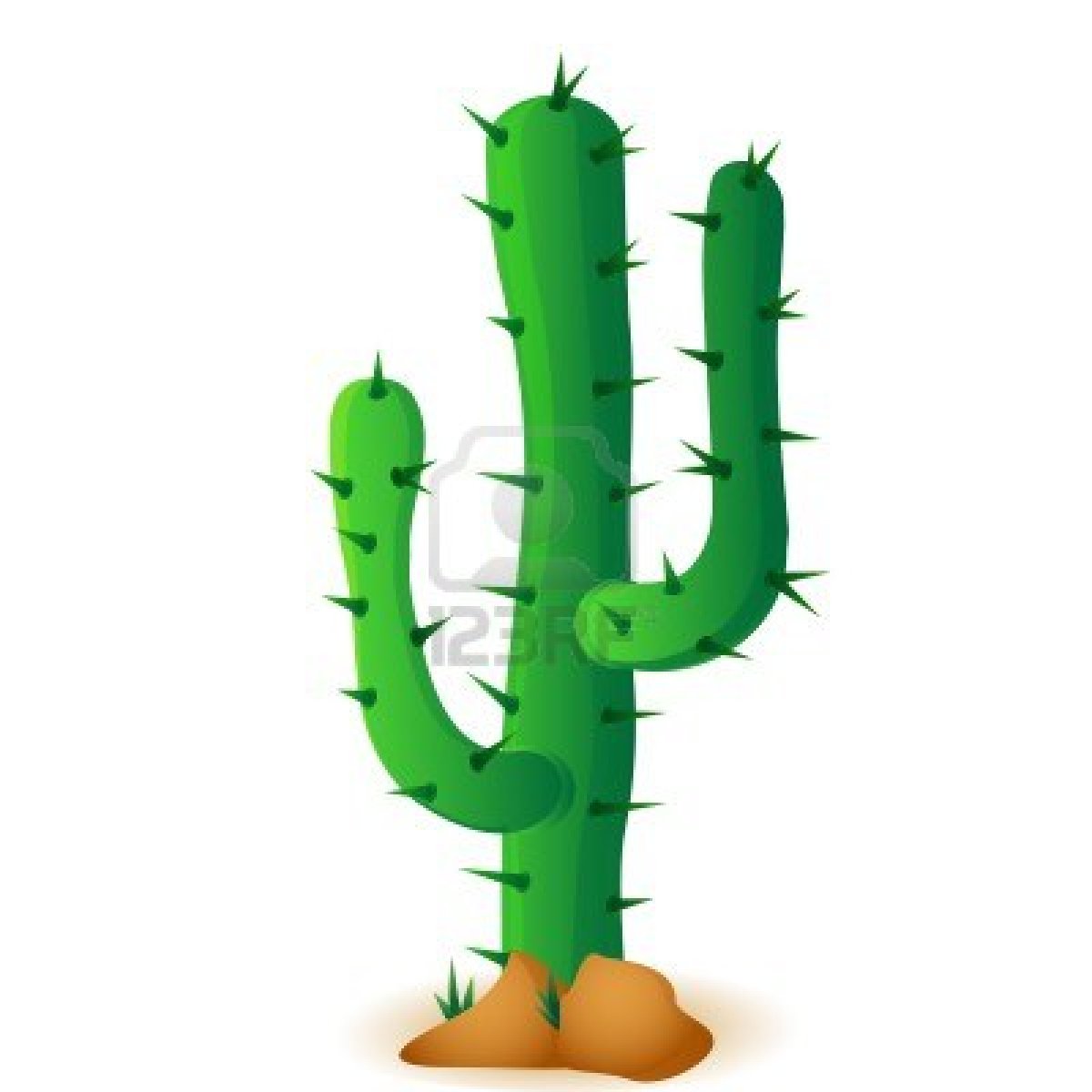 13907057-kaktus-isoliert-auf-weissem-hin