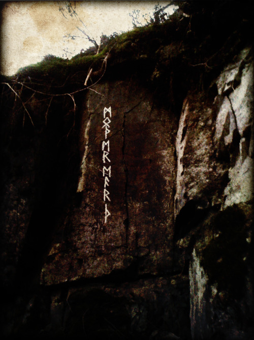 Bilder-Thread 3df57b tumblr m15dy3W8O21r5xhpmo1 500