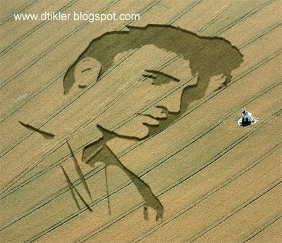 76a6eb elvis-crop-circle