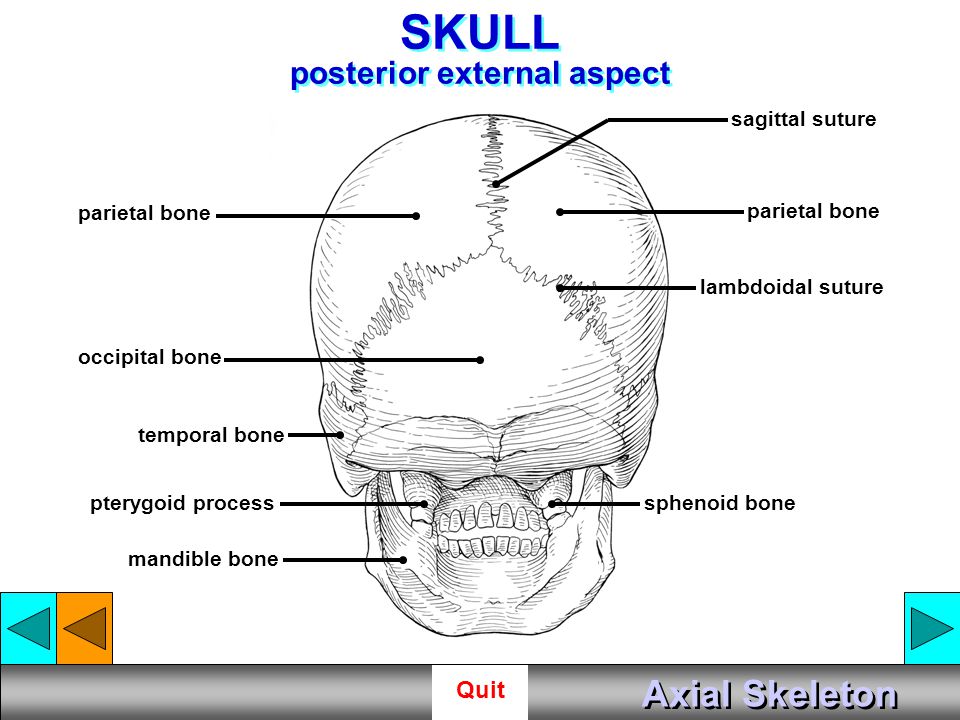 slide 35