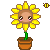 sunflower   free avat4uz5v