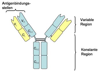 resources antibody 2 de