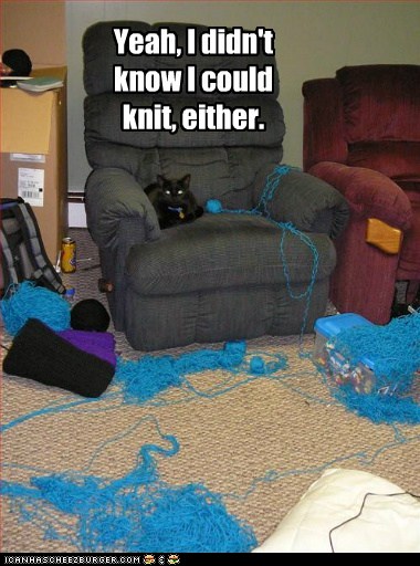 Bilder-Thread t4RtHdX funny-pictures-yeah-i-didnt-know-i-could