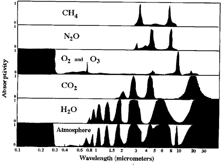 waveabsorb