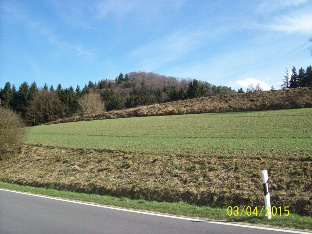 lorenziberg-492m-aus-richtung-haselbach-