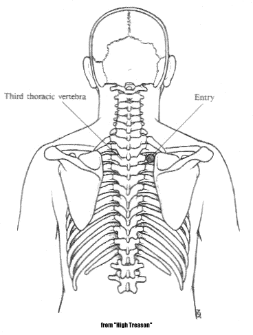 t4f009f back diagram