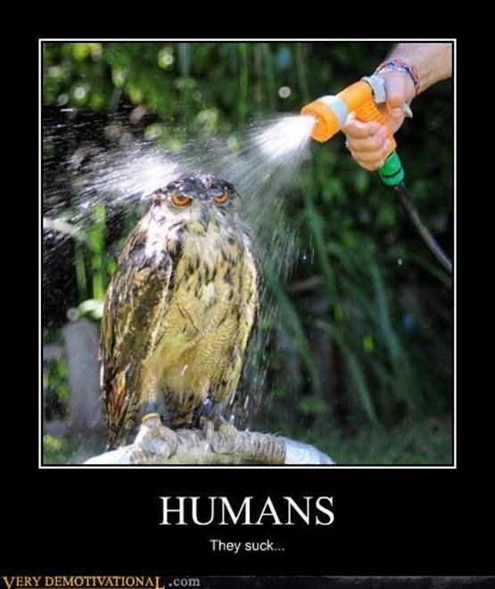 Bilder-Thread funny-quote-posters