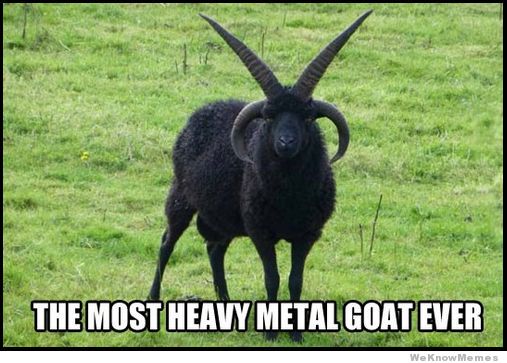 Bilder-Thread heavy-metal-goat