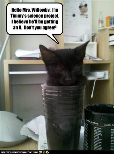 Bilder-Thread t4bNJj6 funny-pictures-hello-mrs-willowby-im-tim