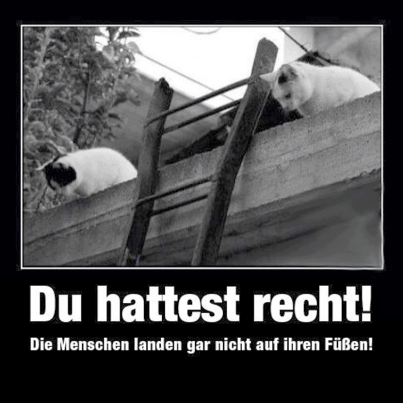 Bilder-Thread c78ea5 534855 451234814958348 2133011656