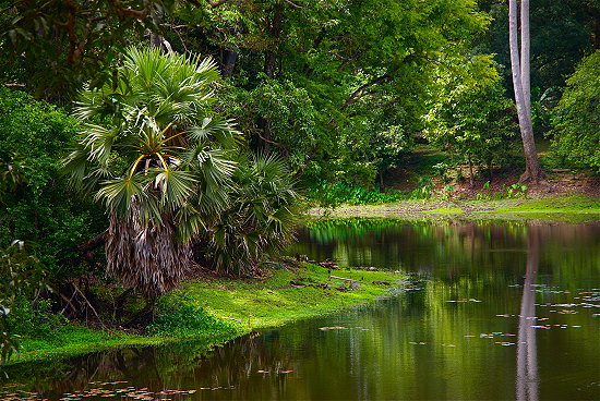 natur-pur-cambodia-2010