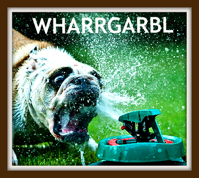 Bilder-Thread wharrgarbldog