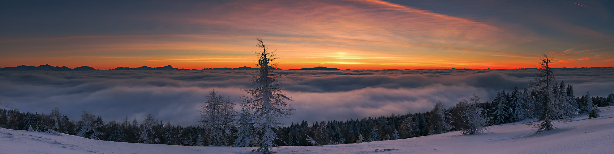 Bilder-Thread heimat-77f5e1ce-62ba-4186-9521-a96e75a7f
