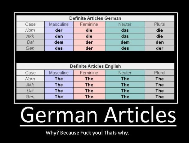 german-articles-because-fuck-you-thats-w