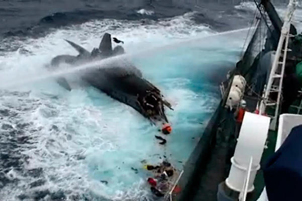 Bilder-Thread 0106-sea-shepherd-japan-whaling-collisio