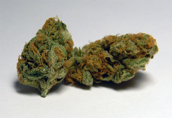 bubblelicious-marijuana-strain-1