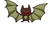 fledermaus-0001